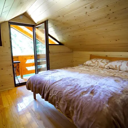 Ski Chalet Jahorina 木屋 亚霍里纳