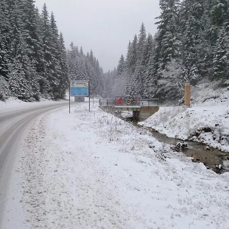 Ski Chalet Jahorina 木屋 亚霍里纳